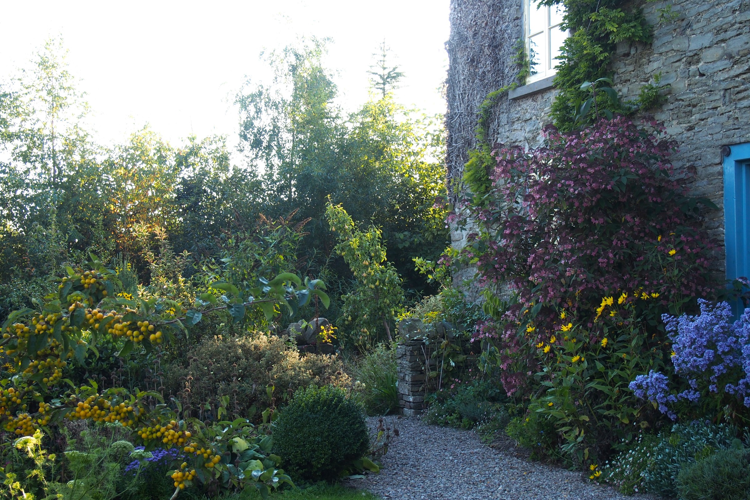 The garden, late summer
